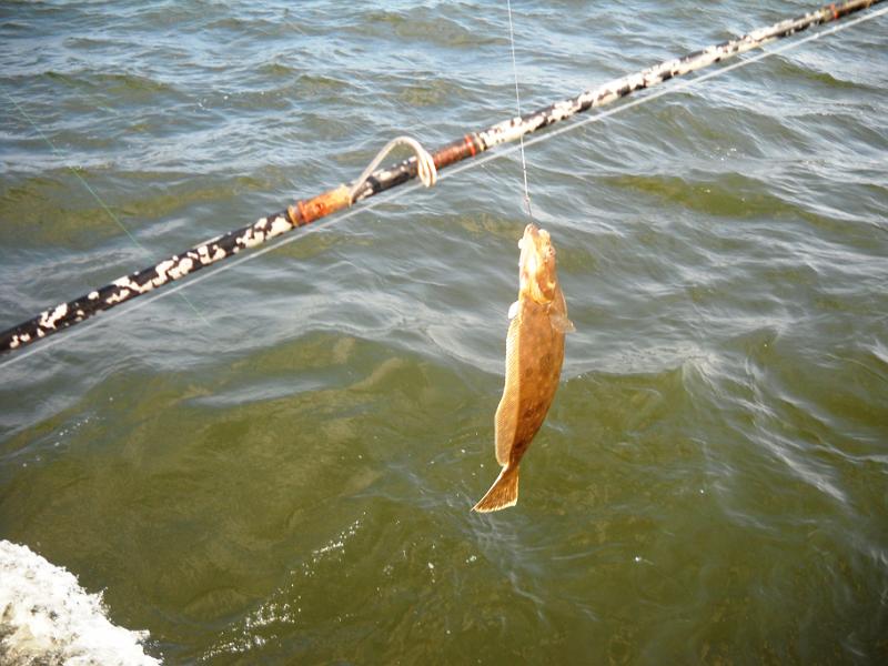 August 2010 part 1 187.JPG - 